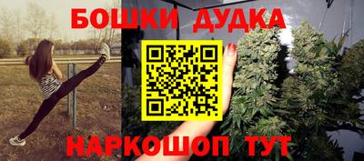 spice Бийск
