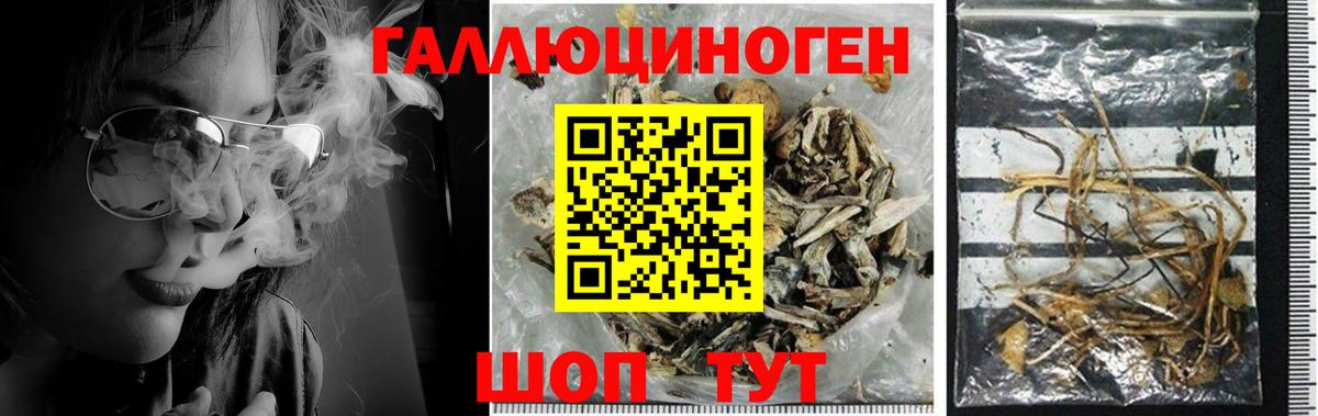 Галлюциногенные грибы ЛСД  Вход с VPN  Псилоцибиновые грибы MAGIC MUSHROOMS  Каменск-Уральский 